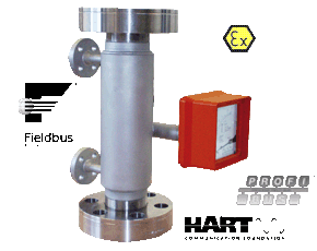 BGN - Rotametro/interruptor de caudal para líquidos e gases