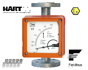 BGN - Rotametro/interruptor de caudal para líquidos e gases